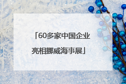 60多家中国企业亮相挪威海事展
