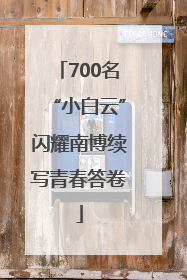 700名“小白云”闪耀南博续写青春答卷