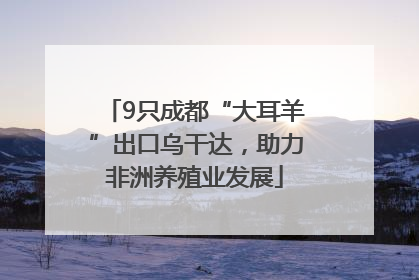 9只成都“大耳羊”出口乌干达，助力非洲养殖业发展